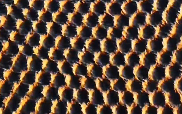 气势恢宏！钱塘江龙鳞潮主打一个壮观