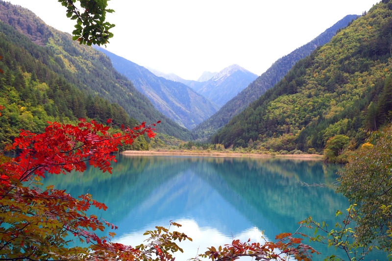 九寨沟秋景如画引游人