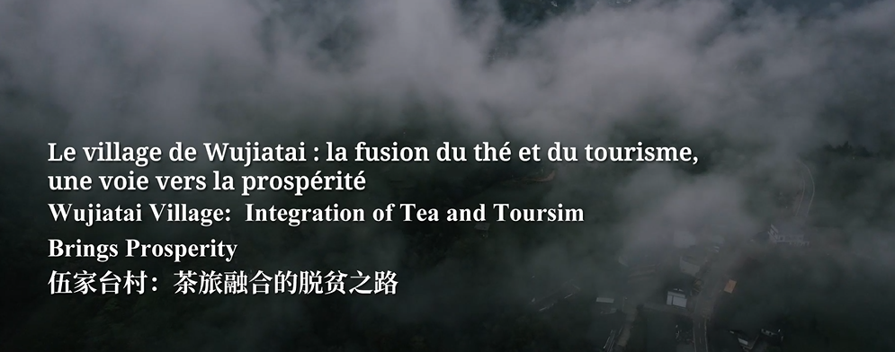 Le village de Wujiatai : la fusion du thé et du tourisme, une voie vers la prospérité