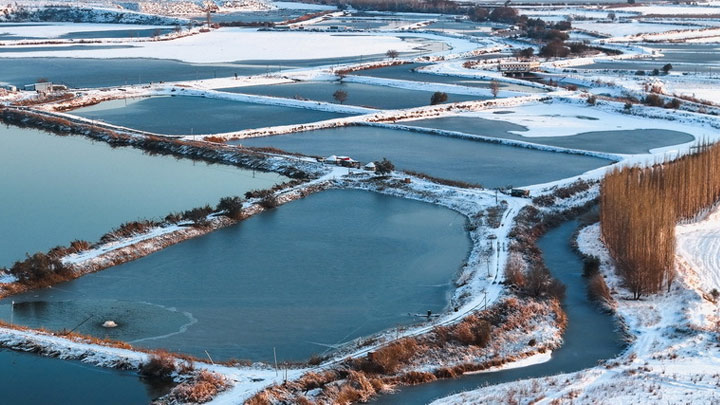 新疆呼图壁：雪后初霁 湿地如画