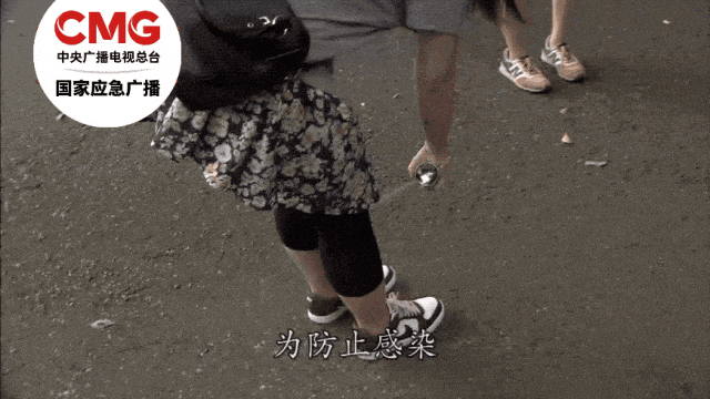 警惕基孔肯雅热！广东佛山已超千例感染插图1