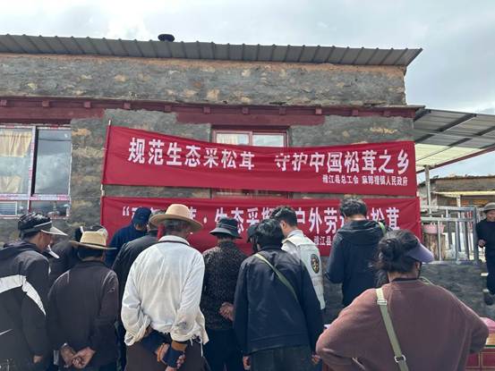 以赛促学护生态 四川雅江县举办松茸采摘技能竞赛