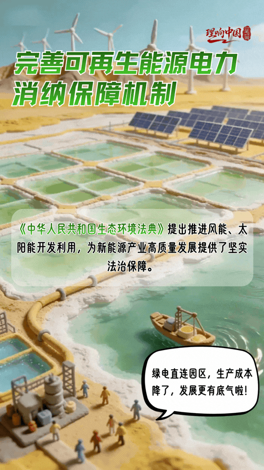 理响中国·一笔一画｜法治护绿！“典”亮美丽中国