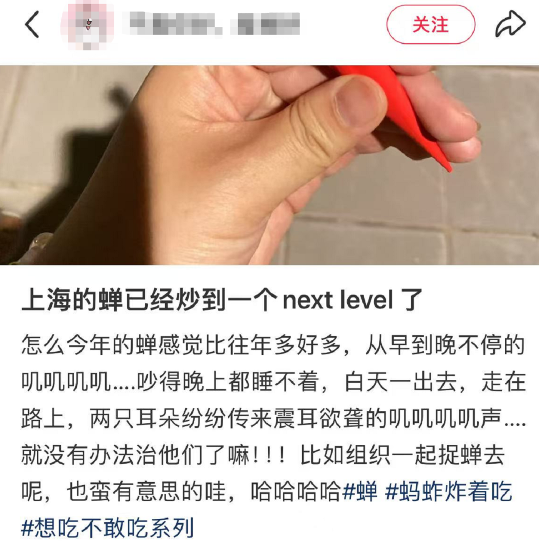 上海市民遭遇困扰：树上滴水，舔了才知道是尿！这物种今年明显增多？专家分析插图2