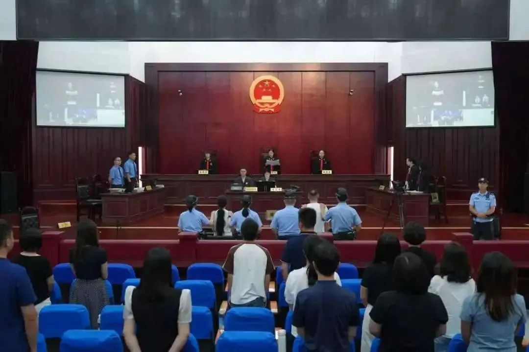 造谣大熊猫被虐待，白某某、徐某获刑！插图