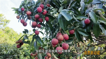“伊關鍵核設施已被摧毀”！特朗普：沖突可能再次爆發為什么地雷要松腳才炸