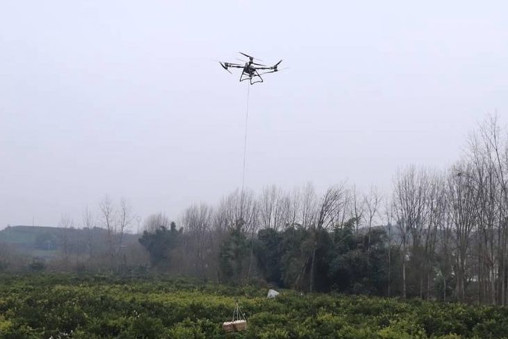 告别肩挑背扛 无人机载着20万斤金果“飞”出大山