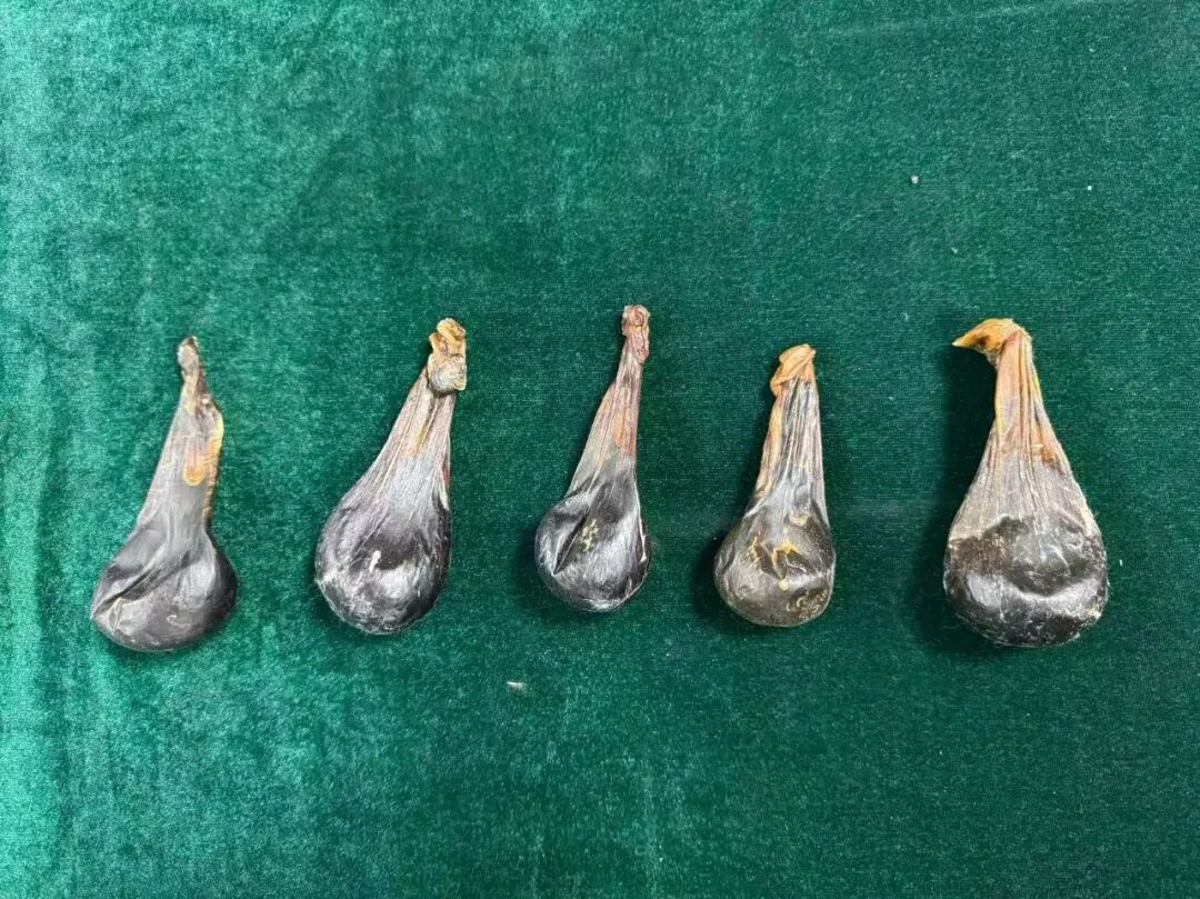 盛煌代理|盛煌平台