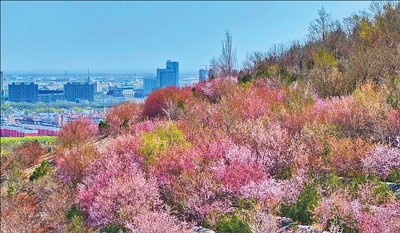 大只500注册-大只500开户_睿和创业