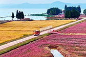 滇池边上邂逅山海田园