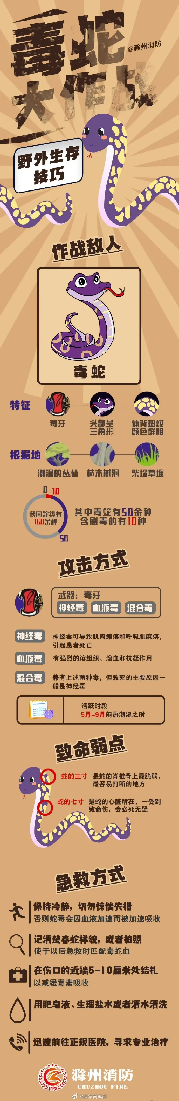 太惊险！广东一85岁老人被蛇追咬，用手杖将其击退！家属：疑似眼镜蛇插图7