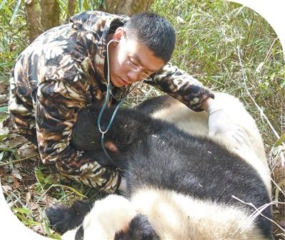 中国农业大学教授金艺鹏：守护那股生生不息的韧劲