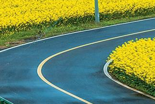 政府采购推动公路向“绿”发展