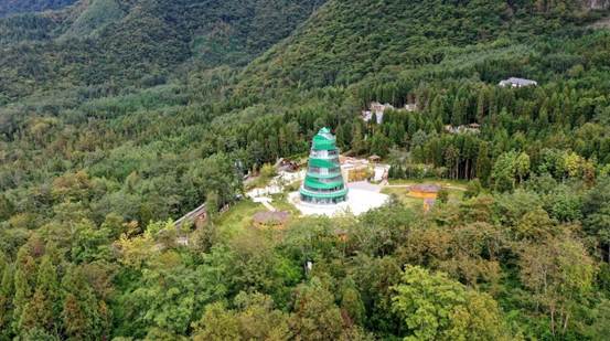 四川宝兴：从看一眼到蹲下来 从熊猫热到动植物研学“链”中外