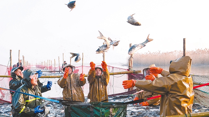 年货盈门 物阜民丰（新时代画卷）