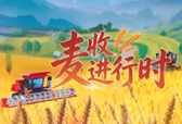 跨越700公里赶夏收