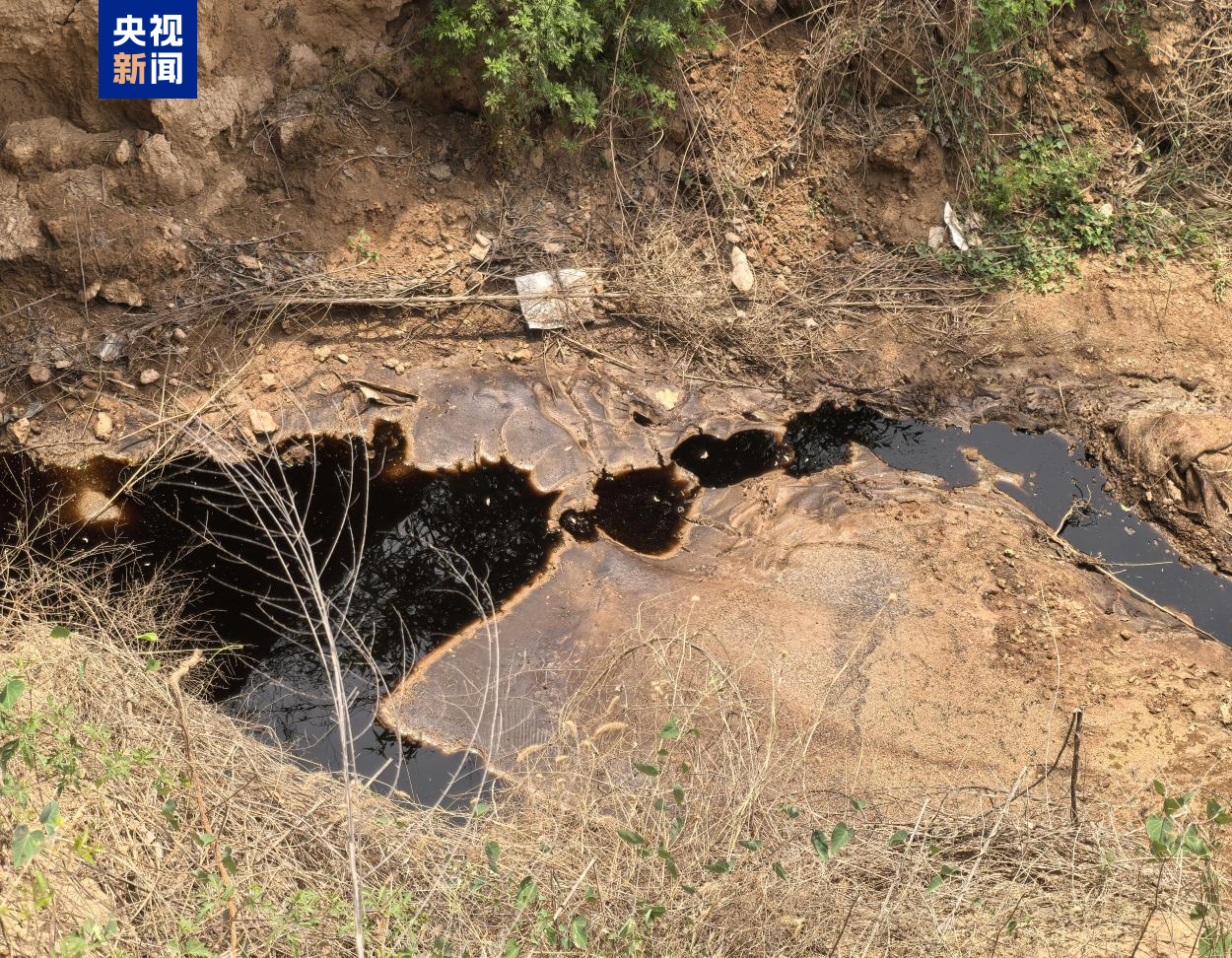 【黨旗在基層一線高高飄揚】沖鋒一線爭分奪秒守護群眾生命安全孫儷順產還是剖腹產
