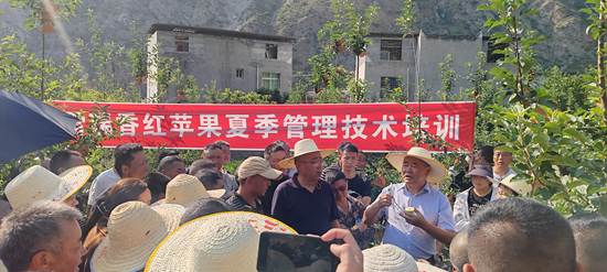 国家队专家甫抵川西高原果园  围绕果树“问诊开方+传经送宝”