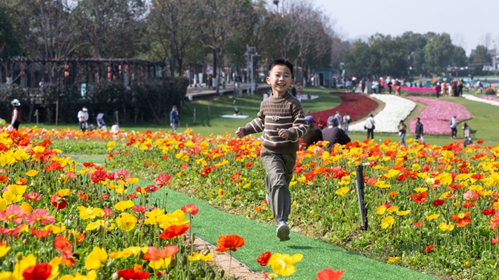 春光明媚赏花时