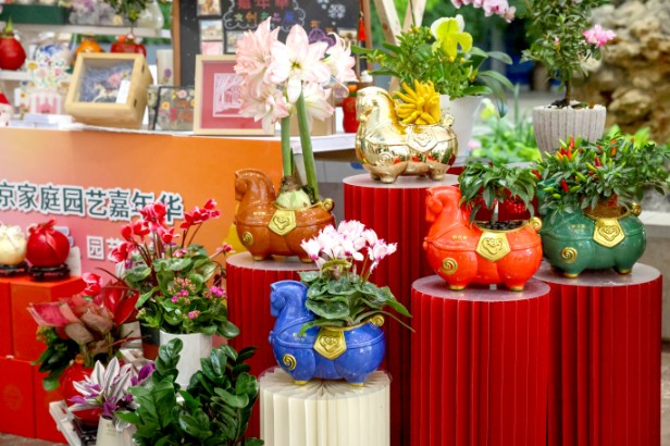 2026北京家庭园艺嘉年华活动将于1月1日盛大启幕