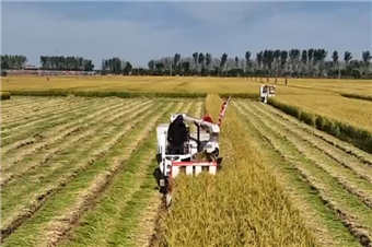 绿水青山间奏响农业“丰收曲”