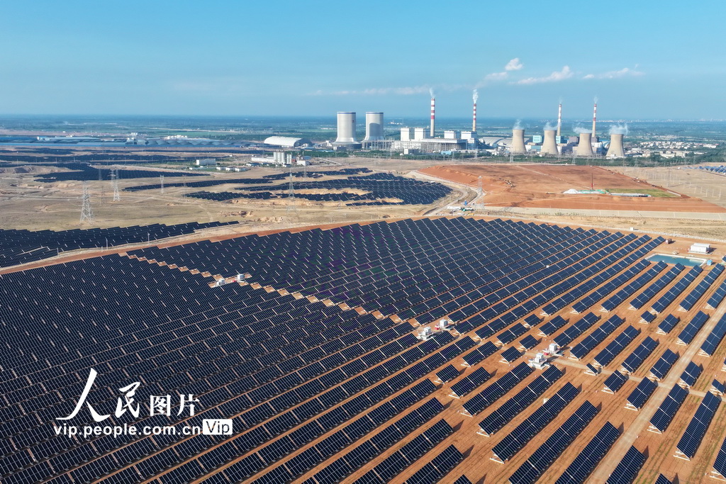 宁夏青铜峡：戈壁滩上好“风景”插图4