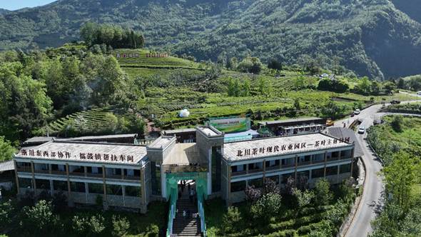 四川北川：“山海协作”解锁羌乡共富密码