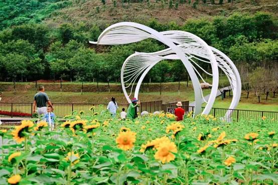 做活“近郊游”  乐山市市中区在家门口“端出”文旅盛宴