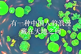 和谐相处 生生不息