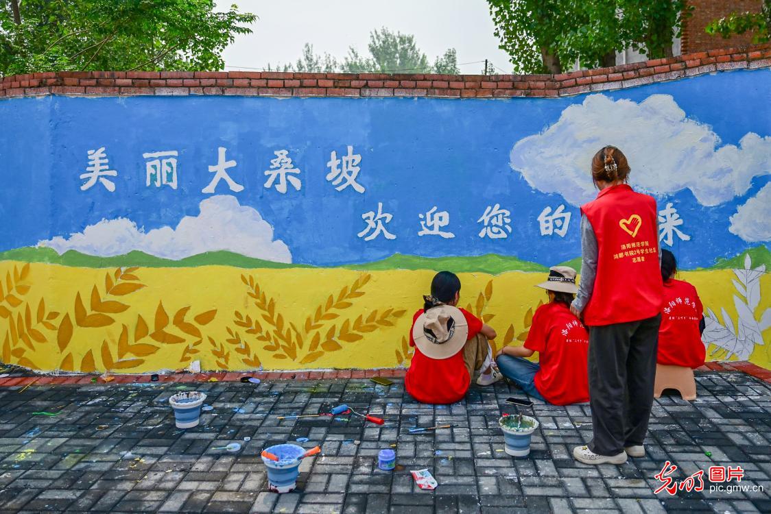 直播助农、健康义诊、扮靓街巷……青年学子暑期返乡服务桑梓插图1