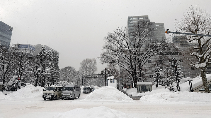 日本多地持续强降雪已致14人死亡