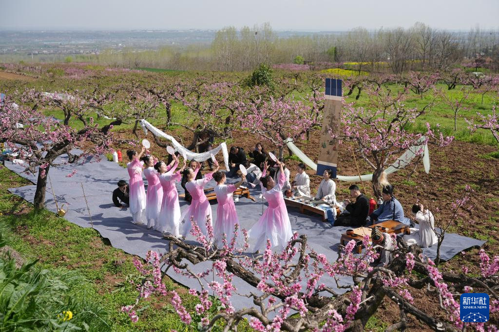 西安长安：踏春赏花正当时