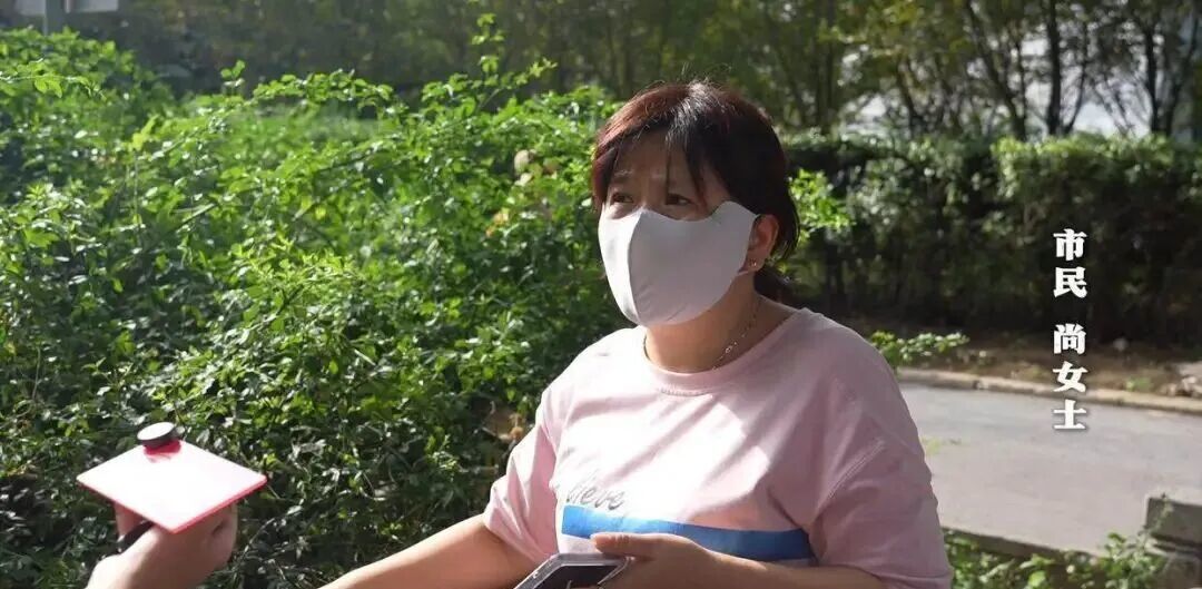 “多只小猫被挖眼砍断四肢”是AI软件生成文章,发布人被行政处罚-图片3