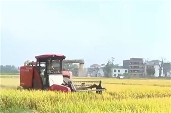 稻浪翻滚、瓜果飘香 神州大地好“丰”景