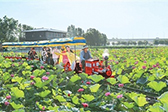 乡村文旅业态版图更大了