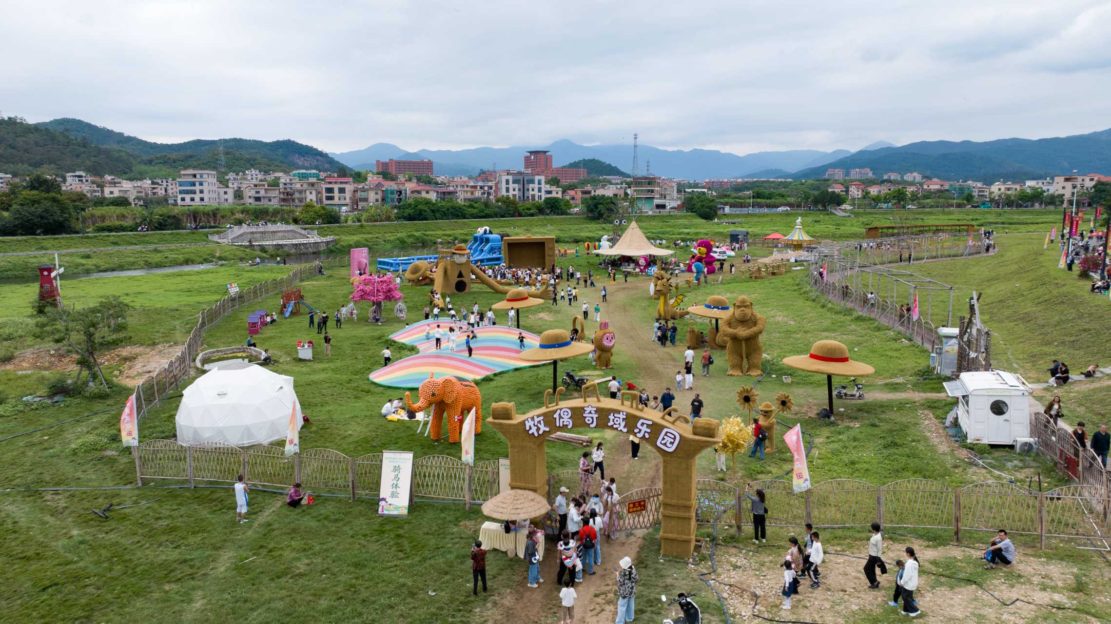 2026年“厦乡趣”同安田洋村甘蔗麻鸡季启幕