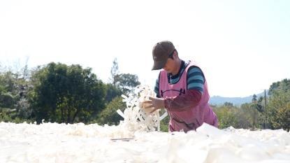 浙江湖州：百年古法粉丝 串起乡村共富路