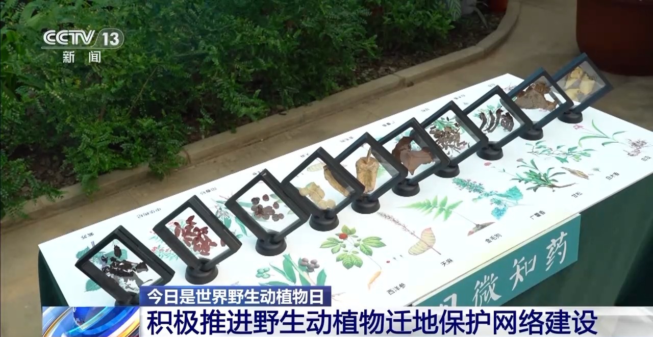 盛煌登录|盛煌地址|上海虹桥温德姆酒店-首页