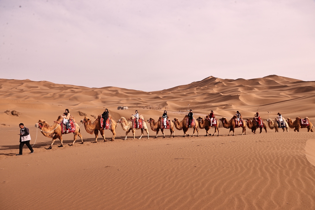 新疆吐鲁番：库木塔格沙漠迎春日旅游热