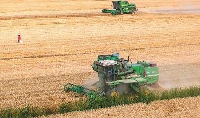 全国已收获冬小麦面积1.26亿亩