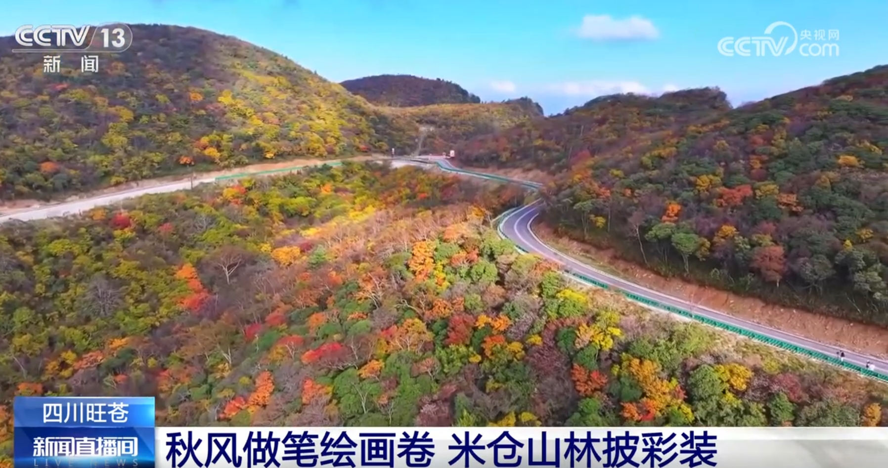 ✅体育直播🏆世界杯直播🏀NBA直播⚽层林尽染、云海壮观、稻浪翻涌……金秋十月 美景入画来