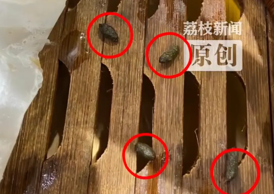 吃到最后发现“老鼠屎”？知名餐饮被曝光，品牌致歉插图