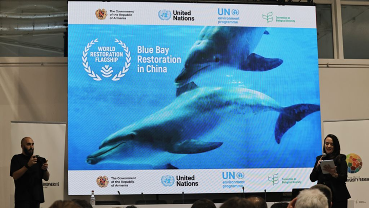 “中国蓝湾行动”获评“世界生态恢复旗舰项目”