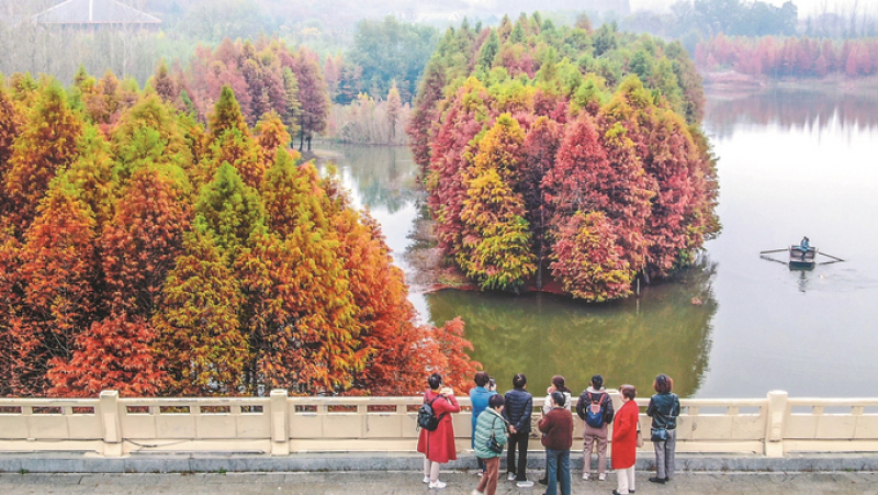 盱眙铁山寺国家森林公园晨雾缭绕美不胜收