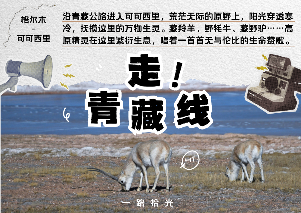 ✅体育直播🏆世界杯直播🏀NBA直播⚽走！青藏线｜一路拾光到可可西里