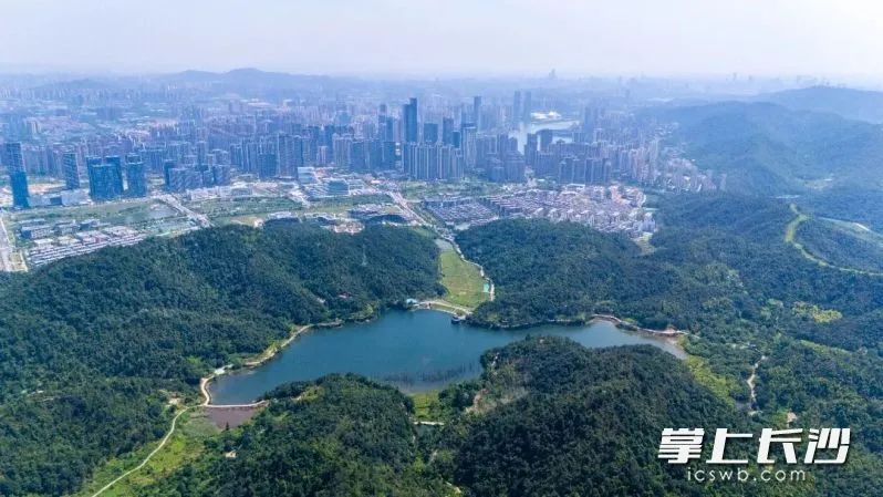 长沙这一公园，将封闭！插图