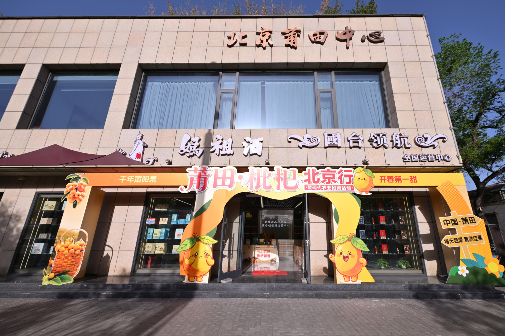 莆田枇杷香飘京城 以果为媒赋能乡村振兴