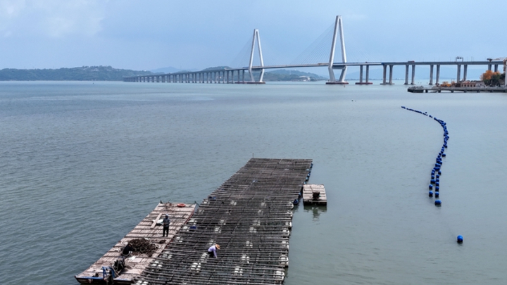 加固渔排防台风
