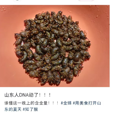 提桶抓、熬夜抓，有人一晚上抓几百只！“知了猴”为啥这么抢手？插图3