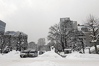 日本多地持续强降雪已致14人死亡